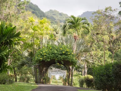 St Vincent Botanical Gardens